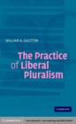 Image for The practice of liberal pluralism
