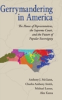 Image for Gerrymandering in America