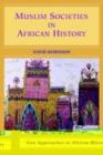 Image for Muslim societies in African history