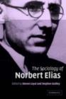 Image for The sociology of Norbert Elias