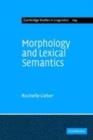 Image for Morphology and lexical semantics