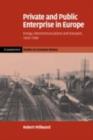 Image for Private and public enterprise in Europe: energy, telecommunications and transport, 1830-1990