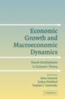 Image for Economic growth and macroeconomic dynamics: recent developments in economic theory