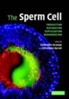 Image for The sperm cell: production, maturation, fertilization, regeneration