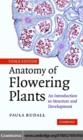 Image for Anatomy of flowering plants: an introduction to structure and development