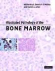 Image for Illustrated pathology of the bone marrow