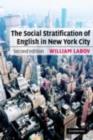 Image for The social stratification of English in New York City