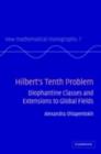 Image for Hilbert&#39;s tenth problem: diophantine classes and extensions to global fields