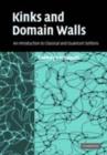 Image for Kinks and domain walls: an introduction to classical and quantum solitons