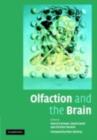 Image for Olfaction and the brain