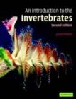 Image for An introduction to the invertebrates