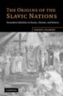 Image for The origins of the Slavic nations: premodern identities in Russia, Ukraine, and Belarus