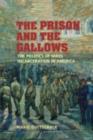 Image for The prison and the gallows: the politics of mass incarceration in America