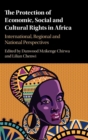 Image for The protection of economic, social and cultural rights in Africa  : international, regional and national perspectives