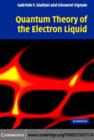 Image for Quantum theory of the electron liquid