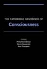 Image for The Cambridge handbook of consciousness