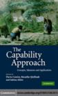 Image for The capability approach: concepts, measures and applications