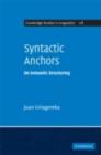 Image for Syntactic anchors: on semantic structuring