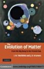 Image for The evolution of matter: from the big bang to the present day Earth