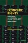 Image for Economic rights: conceptual, measurement, and policy issues