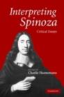 Image for Interpreting Spinoza: critical essays