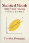 Image for Statistical models: theory and practice