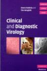 Image for Clinical and diagnostic virology