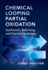 Image for Chemical looping partial oxidation  : gasification, reforming, and chemical syntheses