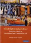 Image for Social rights jurisprudence: emerging trends in international and comparative law