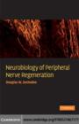 Image for Neurobiology of peripheral nerve regeneration