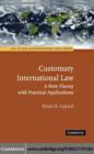 Image for Customary international law: a new theory with practical applications