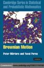 Image for Brownian motion : 30