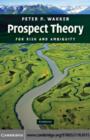 Image for Prospect theory: for risk and ambiguity