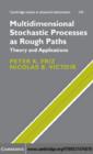 Image for Multidimensional stochastic processes as rough paths: theory and applications