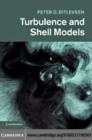 Image for Turbulence and shell models