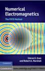 Image for Numerical electromagnetics: the FDTD method