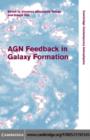 Image for AGN feedback in galaxy formation: proceedings of the workshop held in Vulcano, Italy, May 18--22, 2008