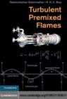 Image for Turbulent premixed flames