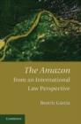 Image for The Amazon from an international law perspective