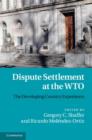 Image for Dispute settlement at the WTO: the developing country experience