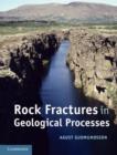 Image for Rock fractures in geological processes