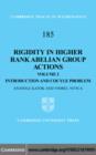 Image for Rigidity in higher rank abelian group actions