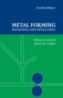 Image for Metal forming: mechanics and metallurgy