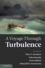 Image for A voyage through turbulence
