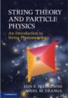 Image for String theory and particle physics: an introduction to string phenomenology
