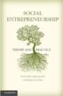 Image for Social entrepreneurship: theory and practice
