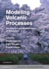 Image for Modeling volcanic processes: the physics and mathematics of volcanism