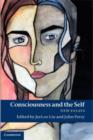 Image for Consciousness and the self: new essays