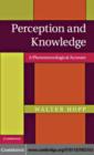 Image for Perception and knowledge: a phenomenological account