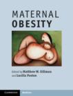 Image for Maternal obesity